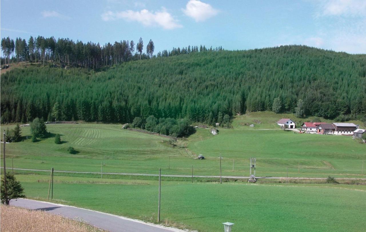 Ferienwohnung - Waldviertel Barnkopf المظهر الخارجي الصورة